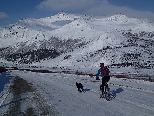 Cani-mountain biking man on a mountain bike with a dog on the leash