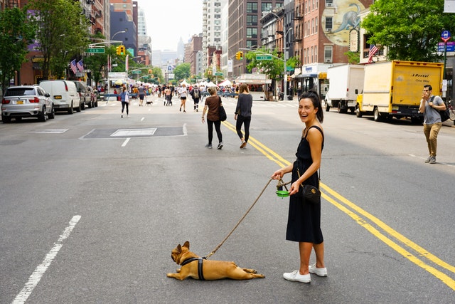 Woman laughing and holding a leash of a brown French bulldog while it is lying on the middle of the road
